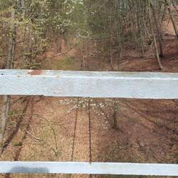 Alte Bahntrassen gibt es hier auch🚂