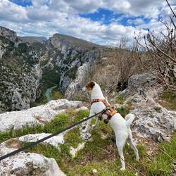 Schnappschuss 👍 bei Louie klappt es mit dem Posen ja leider nicht wie bei Quentin