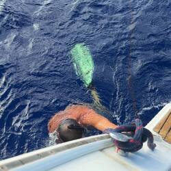 an diesem Festmacher hielt Uwe sich fest