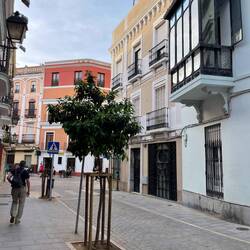 So was wie ein Wintergarten...