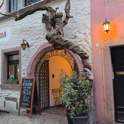 Fette Blauregen wachsen in dieser Straße.