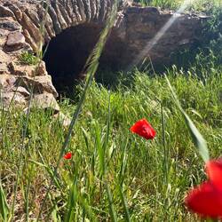 die römische Brücke von Puerto Lápice