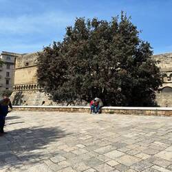 Castello Svevo di Bari