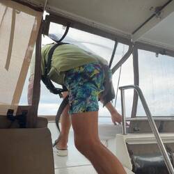 Flugs hinauf geklettert