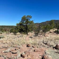 Es ging weiter kontinuierlich bergauf.