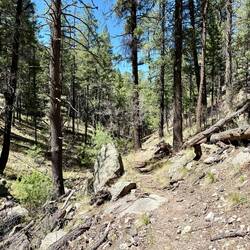 während dem Abstieg