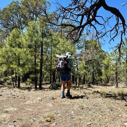 Joja läuft bereits wieder los. 💪🏻