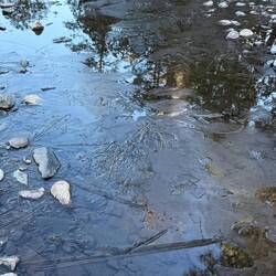 Sogar das Flusswasser war an bestimmten Stellen ein wenig gefroren.