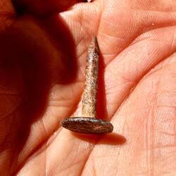 Dieser rostige Nagel steckte während dem Abstieg plötzlich in meinem Schuh.