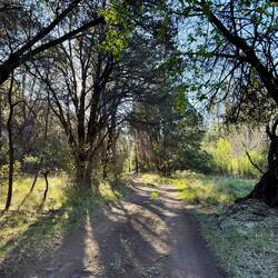 Die ersten Sonnenstralen waren richtiggehend eine Erlösung für mich.
