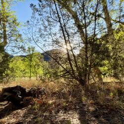 Aussicht aus meinem Zelt