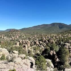 Die Überraschung des Tages erwartete mich kurz nach dem ersten Aufstieg.