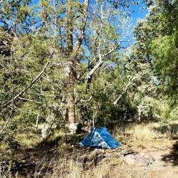 mein heutiger Zeltplatz