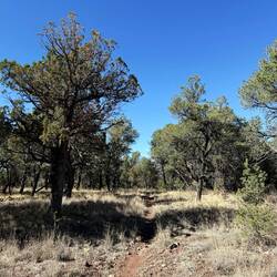auf dem Weg hinunter in den Canyon