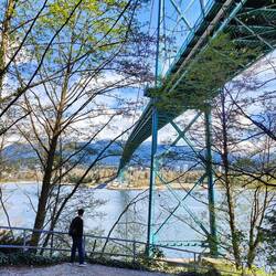 Under the Lion's Gate bridge