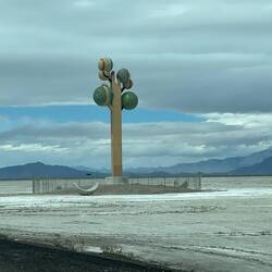 Metaphor: The Tree of Utah