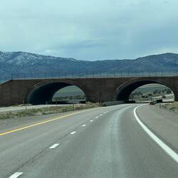Another wildlife crossing.