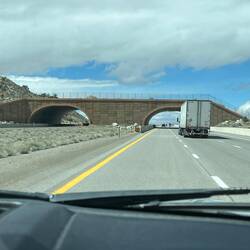 One of several wildlife crossings