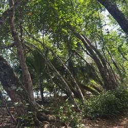 Parque Nacional Cahuita