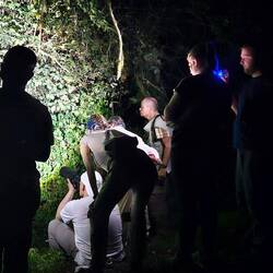 Verrückte Wasas .....