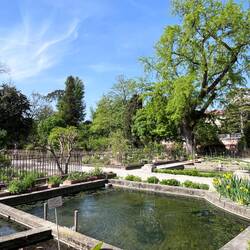 Les Allée de l'espace central du musée botanique. Tellement plus belles en vrai.