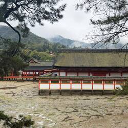 Miyajima bei Ebbe
