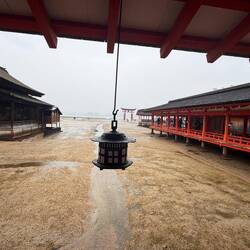 Itsukushima Schrein (593/1168, Unesco Welterbe) bei Ebbe und im Regen, etwas trostlos