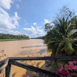 Blick von der Lidge auf den Kinabatangan