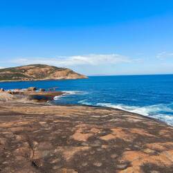 Thistle Cove