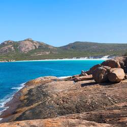 Thistle Cove