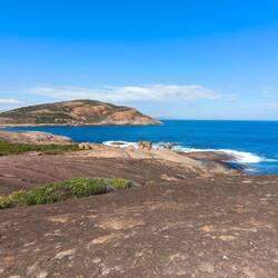 Thistle Cove