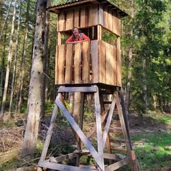 Kein Wildschwein in Sicht.