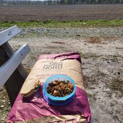 Da stellen wir gleich unser Öko-Picknick dazu.