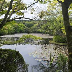 Ryoa Temple