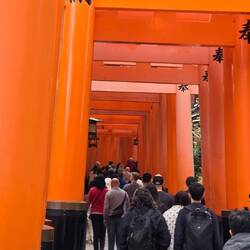 1000 torii gates