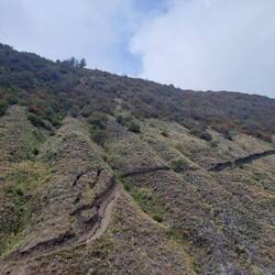 Unser Weg wieder raus aus der Caldera, eigentlich ein Pfad für die Pferde