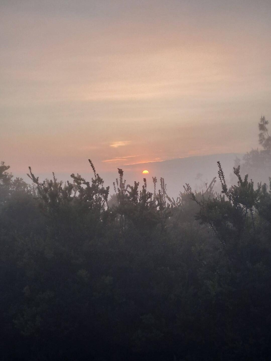 Die Sonne geht auf