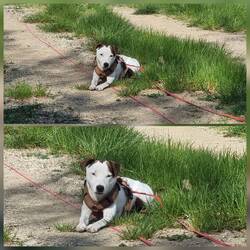 Und wollte dann lieber alleine liegen