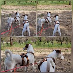 Gucken wo der Selfieständer im Baum versteckt wird