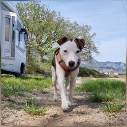 Der Herrscher über 7ha Grundstück 😅