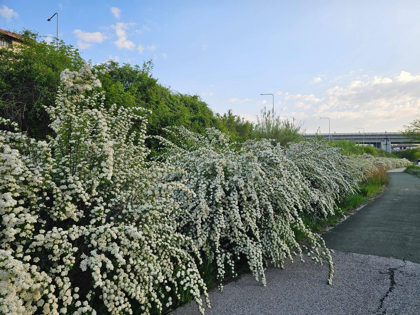 The Pista Ciclopedonale di Pezzapiana as I left Benevento