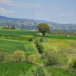 Buonalbergo in the distance