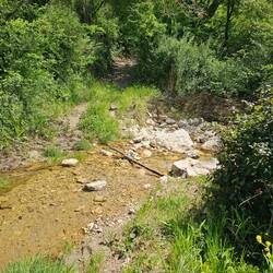 The creek crossing