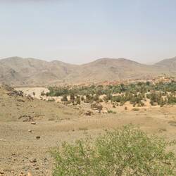 Immer wieder Oasen, entlang den ausgetrocknet Wadis