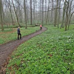 Schöne Wege mit Brücke