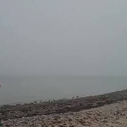 Nordfrosch👍 und HungryBear👍