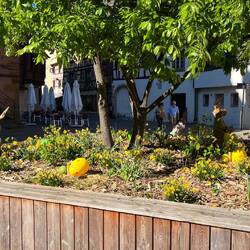 Hier ist immer noch Osterstimmung