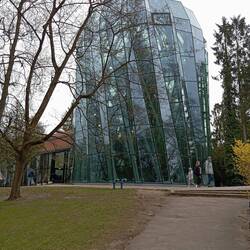 Oliwa - Palmenhaus