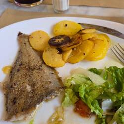 My fake chicken dish