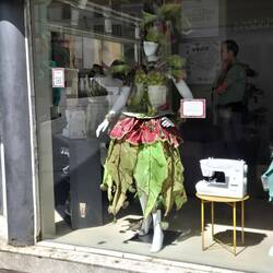 Vegetable festival store windows